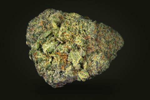 A cured bud of Banana Brain, green and lime with orange hairs under a coat of trichomes, on a plain black background.