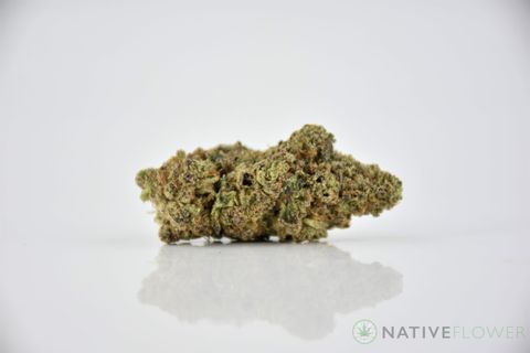 A cured bud of Banana Sundae, photographed against a white background.