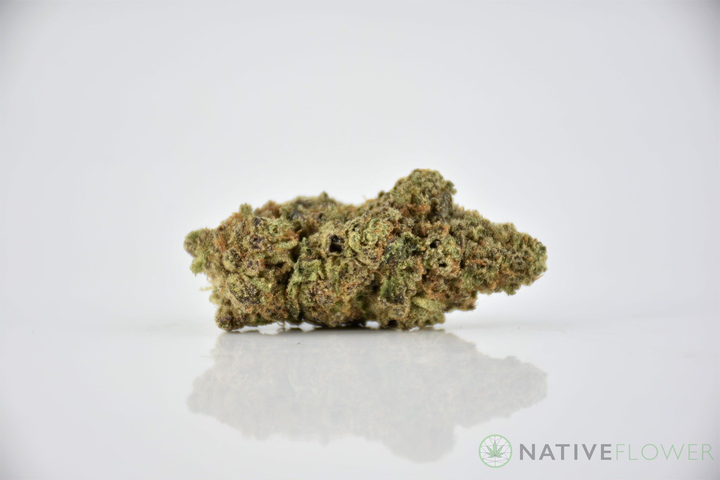 A cured bud of Banana Sundae, photographed against a white background.
