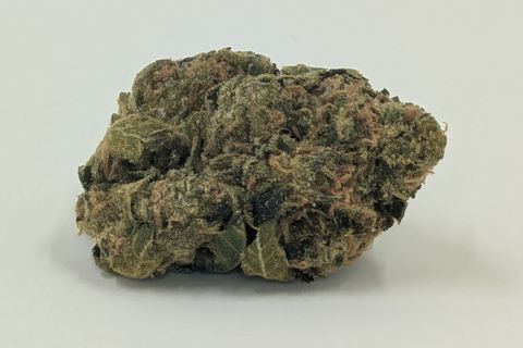 A cured bud of Big Jack, photographed against a plain pale-grey background.
