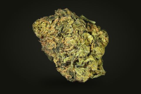 A cured bud of Big Jack, lime and olive green with frosted sugar leaves and short orange hairs, on a plain black background.