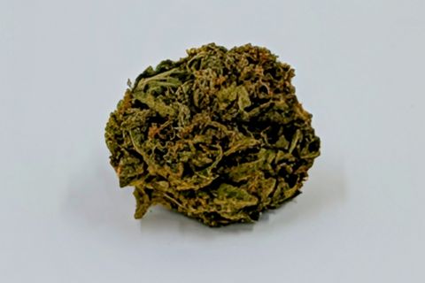 A cured bud of Blue Cheese, green with orange hairs through it, photographed against a plain pale-grey background.