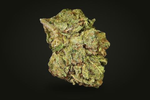 Blue Cheese from another side: an upright, leafy bud with orange-brown hairs, on a plain black background.