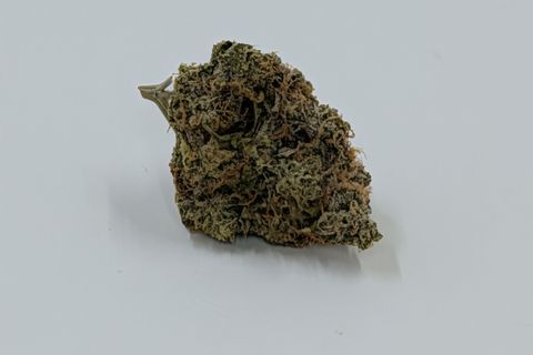 A cured bud of Blue Fin Tuna, photographed against a plain pale-grey background.