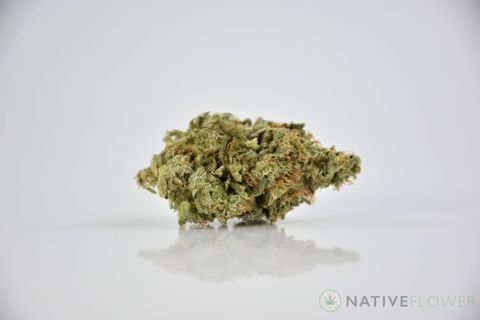 A cured bud of Blue Goo, photographed against a white background.