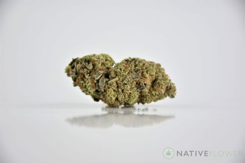 A cured bud of Boss OG, photographed against a white background.