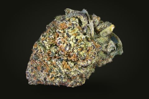 Candy Corn from another side: a dense bud with orange hairs and a curled sugar leaf at its right, on a plain black background.
