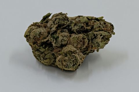 A cured bud of Caramel Cough, pale green and loosely stacked, photographed against a plain pale-grey background.