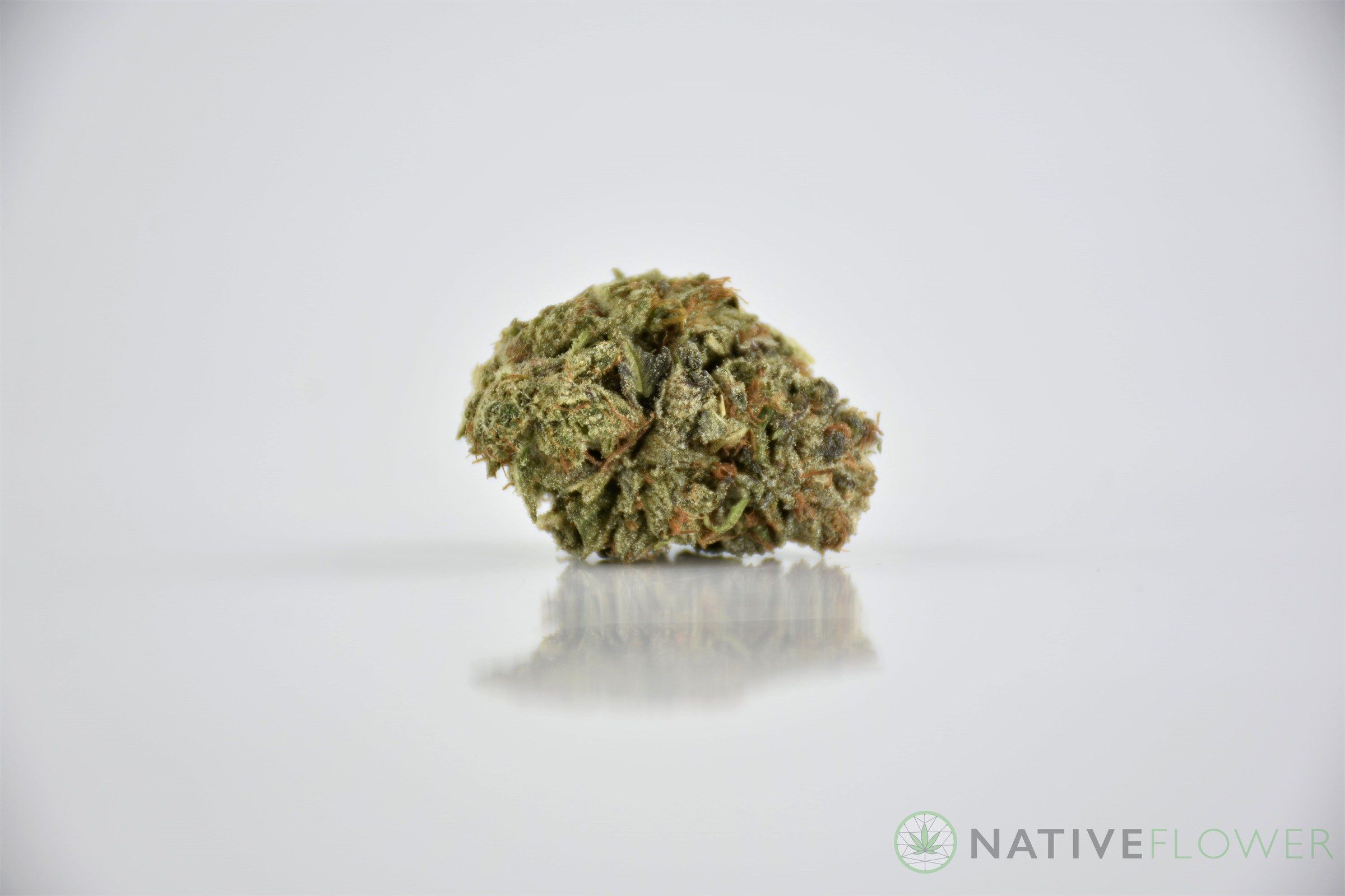 A cured bud of Cherry OG, photographed against a white background.