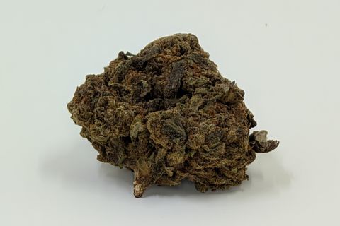 A cured bud of Double Black, photographed against a plain pale-grey background.