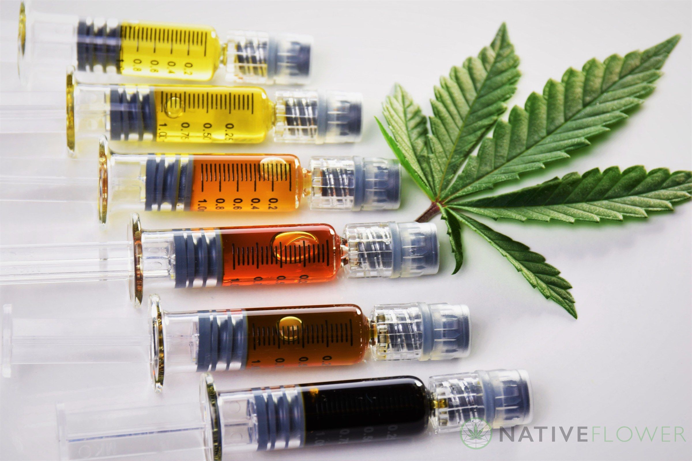 Six glass syringes of cannabis oil laid in a row, running from pale gold to near black.