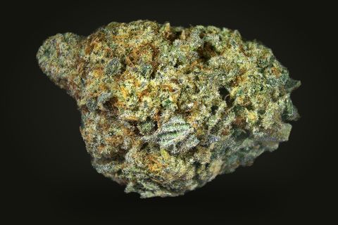 A cured bud of Ego Check, olive and gold with orange hairs and frosted sugar leaves, on a plain black background.