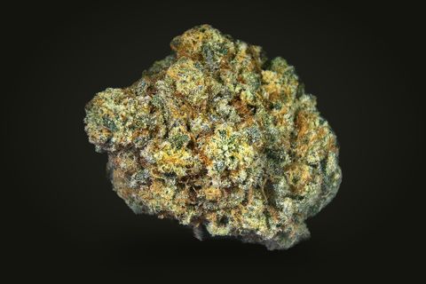 Ego Check from a third side: a rounded, dense bud with golden-orange hairs, on a plain black background.