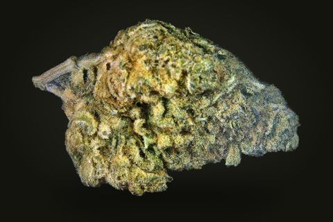 Elvis Glue from another side: a lumpy, gold-green bud with a dry leaf at its left, on a plain black background.
