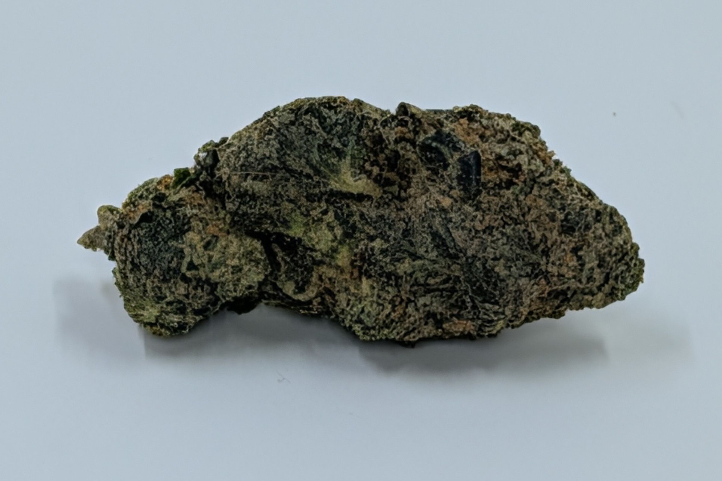 A cured bud of Firewalker OG, long and low, dark green with paler frosted patches, photographed against a plain pale-grey background.