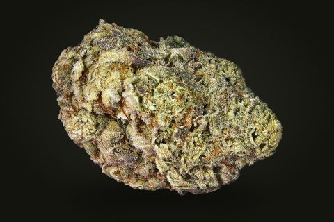 A cured bud of Garlic Banger, olive gold with rust-coloured hairs and grey-purple edges under a thick frost, on a plain black background.