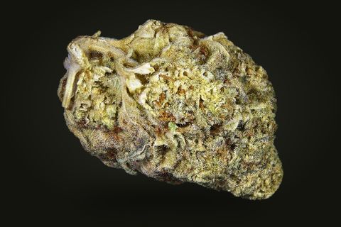 Garlic Banger from another side: an oval, dense bud with a curled leaf at its upper left, on a plain black background.