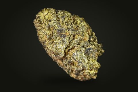 Gelato 33 from another side: an oval, dense bud with dark purple-grey patches through the gold, on a plain black background.