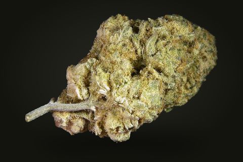 A cured bud of GG4, pale sage green under a thick frost, with a bare stem at its left, on a plain black background.