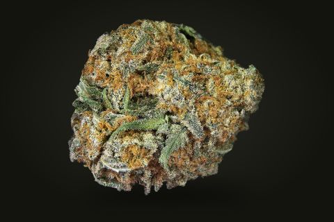 A cured bud of GMO Bomb, round and frosty with a thick tangle of orange hairs and green sugar leaves, on a plain black background.