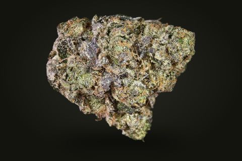 A cured bud of Godfather OG, green with purple patches and orange hairs under a coat of trichomes, on a plain black background.