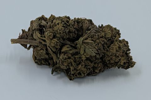 A cured bud of Gorilla Glue with its stem still attached, photographed against a plain pale-grey background.