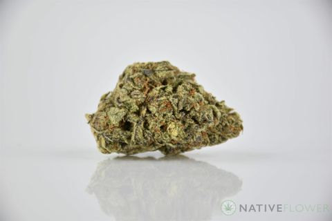 A cured bud of Grape OX, photographed against a white background.