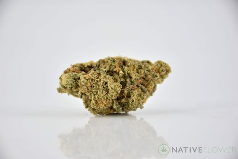 A cured bud of Grapefruit, photographed against a white background.