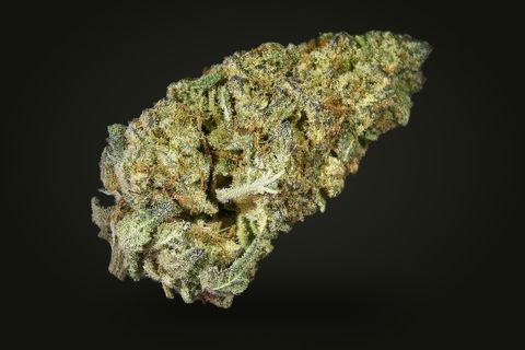 A cured bud of Grapefruit Poison, long and tapered, light green with orange hairs under a frost, on a plain black background.