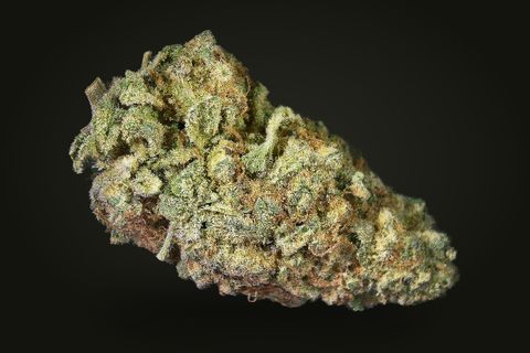 Grapefruit Poison from another side: a long bud with a purple-grey base and a frosted top, on a plain black background.