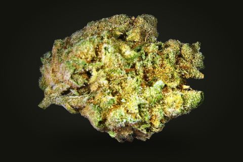 A cured bud of Honey Badger, lime and yellow-green with orange hairs and purple-grey edges, on a plain black background.