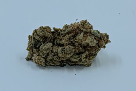 A cured bud of Honey Badger, pale green and loosely stacked with a few orange hairs, photographed against a plain pale-grey background.