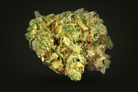 Honey Badger from another side: a lumpy, lime-green bud with orange hairs, on a plain black background.