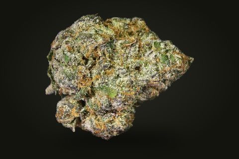 A cured bud of Ice Queen, green with orange hairs and a purple tinge under heavy frost, on a plain black background.