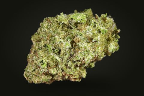 A cured bud of Island Skunk, bright green and leafy with rust-brown hairs under a light frost, on a plain black background.