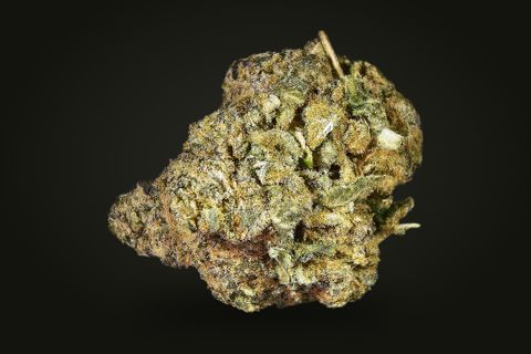 A cured bud of Jealousy, olive and gold with frosted sugar leaves and a dry hair standing up from the top, on a plain black background.