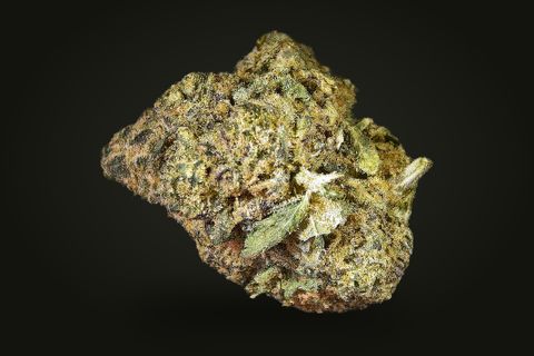 Jealousy from another side: a lumpy, olive-gold bud with a pale sugar leaf at the front, on a plain black background.