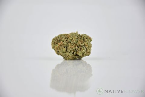 A cured bud of Junglato, photographed against a white background.