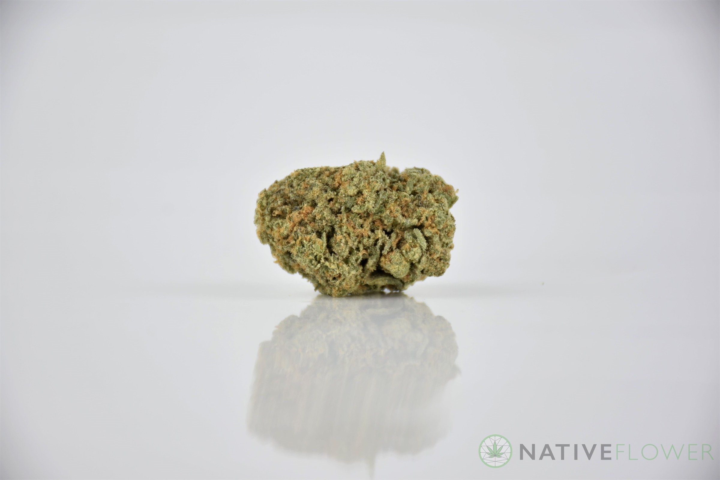 A cured bud of Junglato, photographed against a white background.