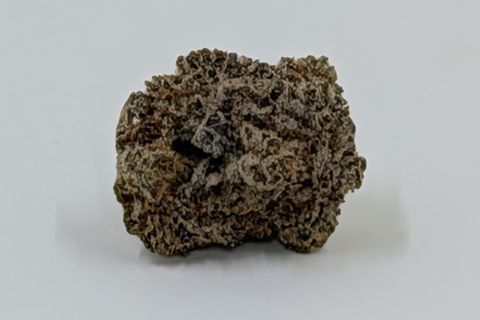 A cured bud of Kosher Kush, dark and tightly packed, photographed against a plain pale-grey background.