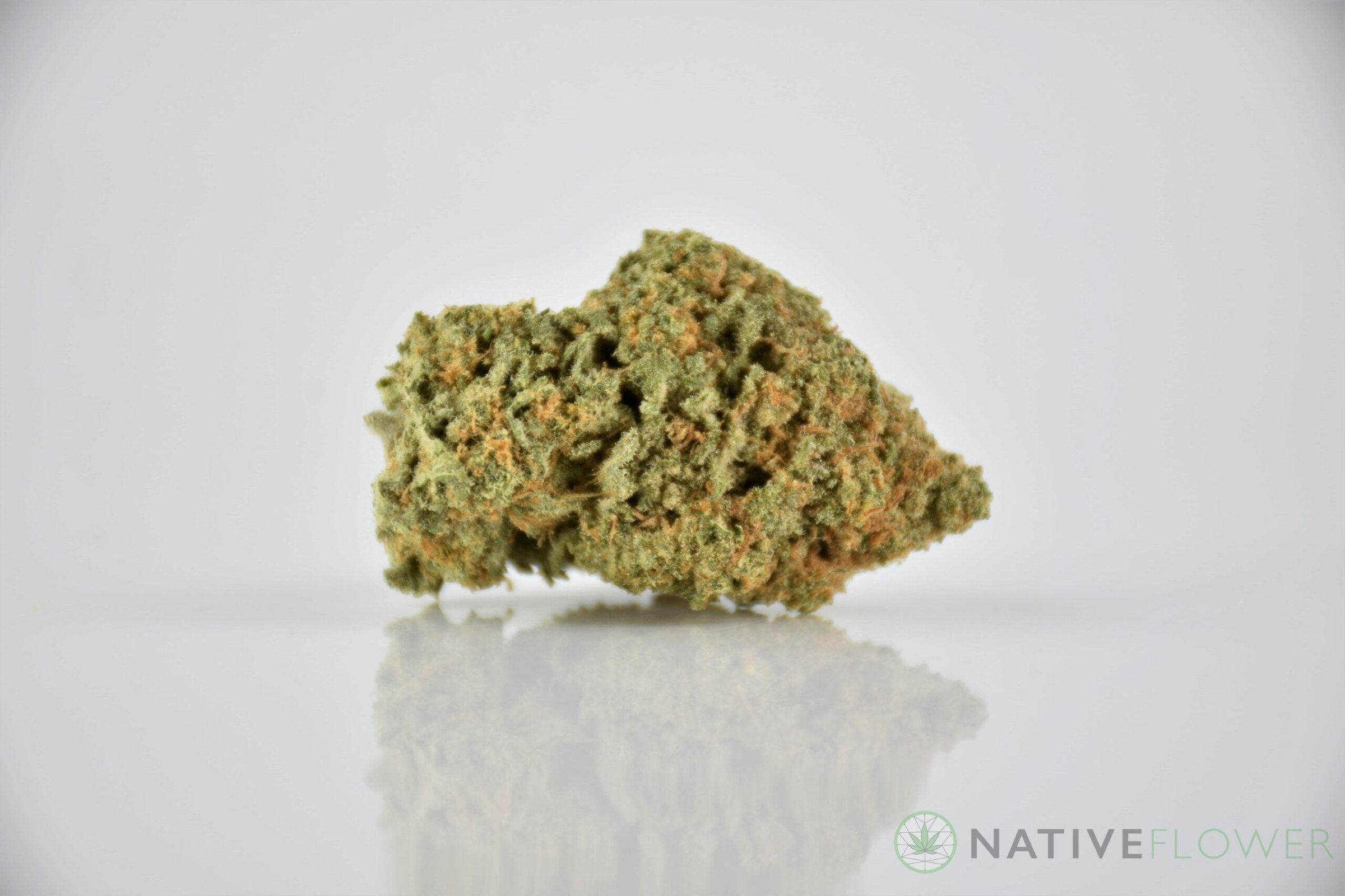A cured bud of Lemon Zest, photographed against a white background.