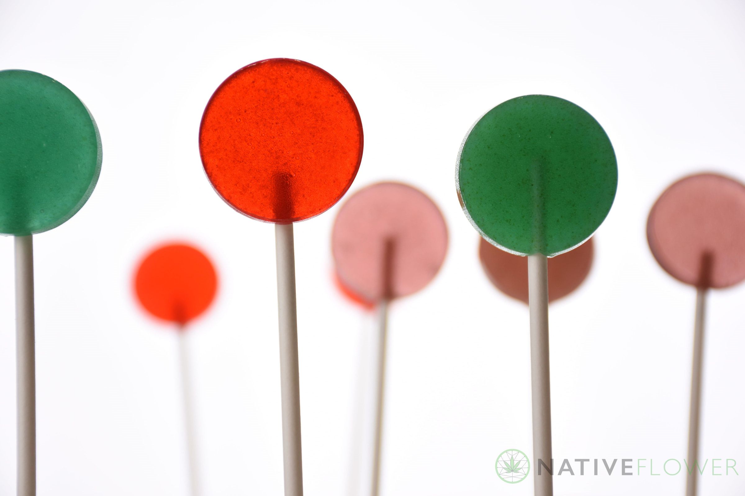 Six Native Flower lollipops in green, red and pink, standing on their sticks.