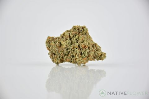 A cured bud of Maui Wowie, photographed against a white background.
