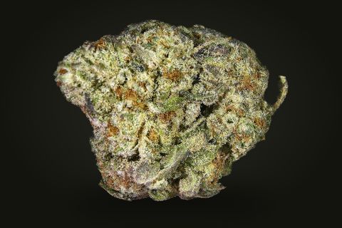 A cured bud of Mendo, olive green with rust-orange flecks and a purple-grey base, on a plain black background.
