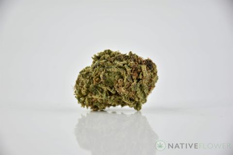 A cured bud of MK Ultra, photographed against a white background.