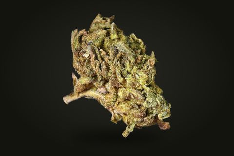 A cured bud of Monster Cookies, tall and leafy, tan and olive with rust-orange hairs, on a plain black background.