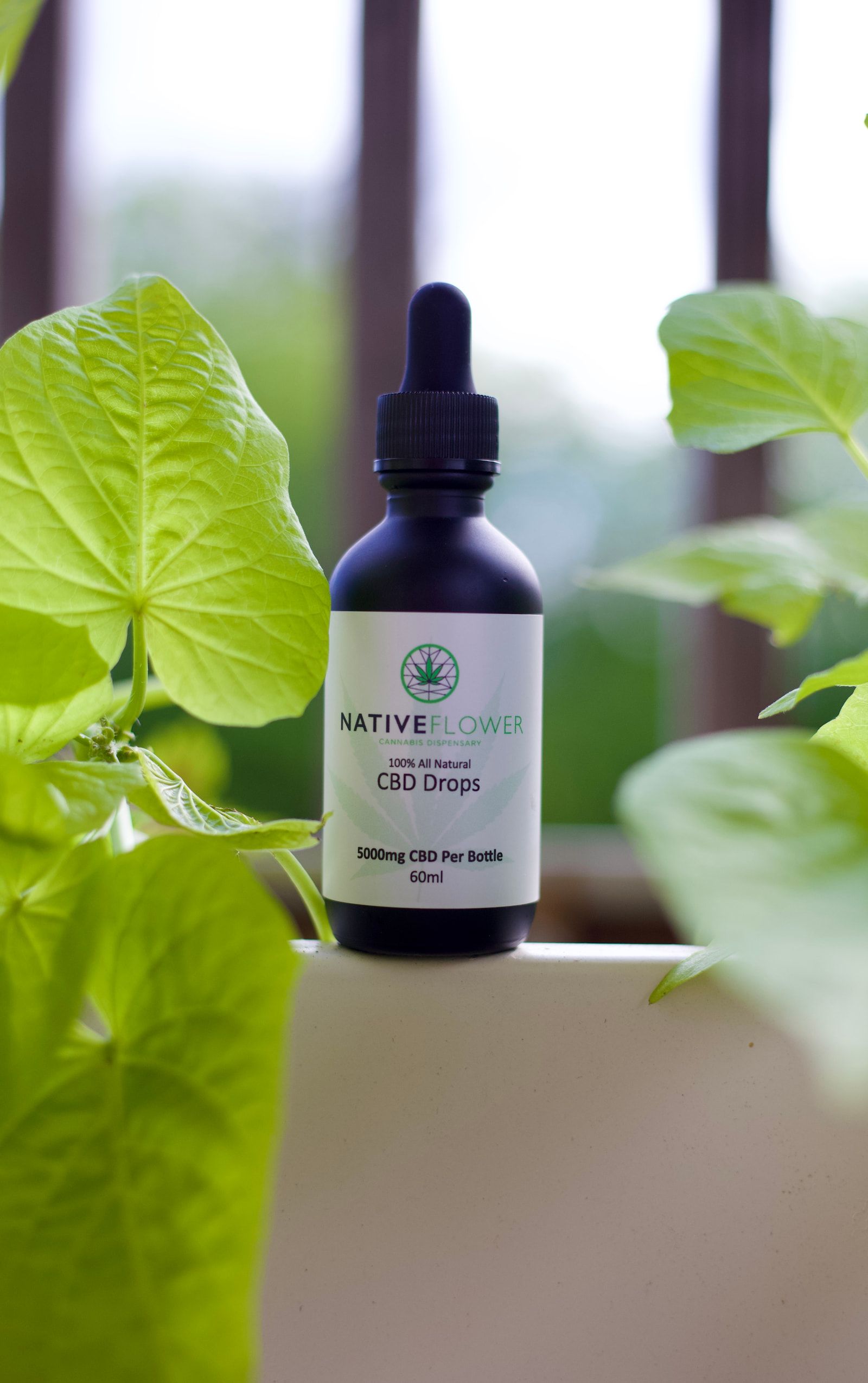 A bottle of CBD drops resting on a windowsill among green houseplants.