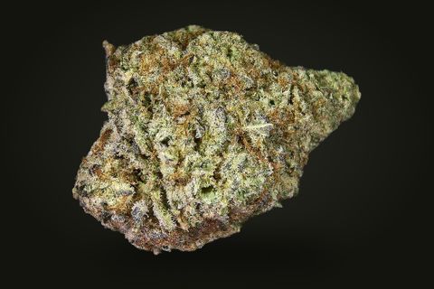 OMG from another side: a wide, lumpy bud with a purple-brown base, on a plain black background.