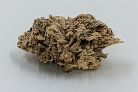 A cured bud of Oreo, photographed against a plain pale-grey background.