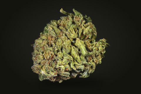 A cured bud of Oreo, round and leafy, yellow-green with orange hairs, on a plain black background.